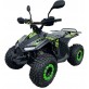 Электроквадроцикл Forsage Moto EV 1200W(48V/20Ah)
