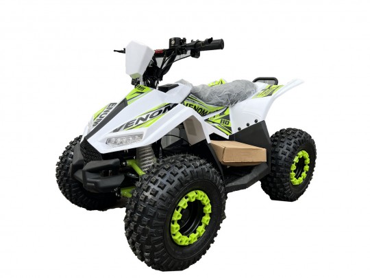 Электроквадроцикл Forsage Moto EV 1200W(48V/20Ah)