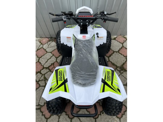 Электроквадроцикл Forsage Moto EV 1200W(48V/20Ah)