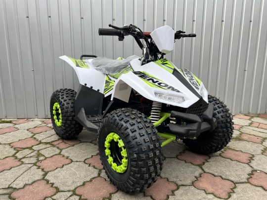 Электроквадроцикл Forsage Moto EV 1200W(48V/20Ah)
