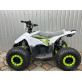 Электроквадроцикл Forsage Moto EV 1200W(48V/20Ah)